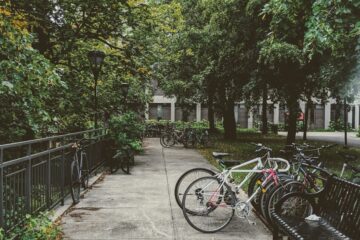bicycle parked on the side of the road