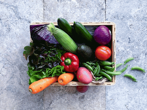 UK Vegetables 20-50% Less Nutritious Than In the 1960s