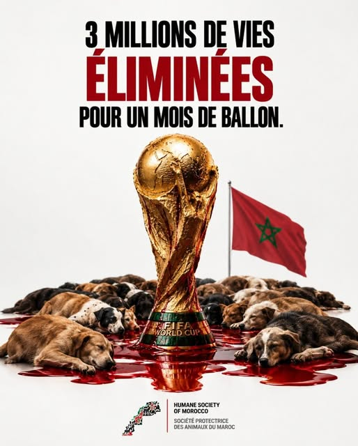 3 million lives for a month of soccer – please donate