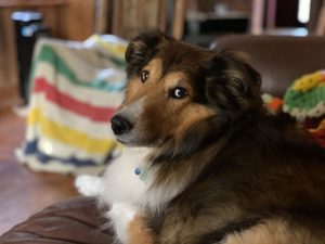 img_4744