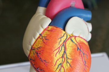 orange heart decor