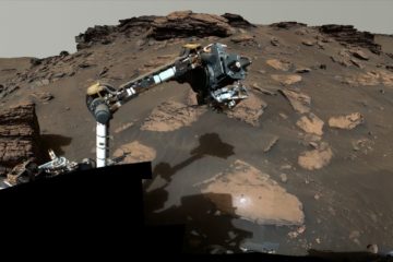 Organic Matter in Rock