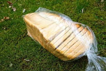 Plant-Based Food Wrap Designed To Replace Plastic