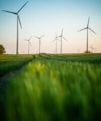 a row of wind turbines