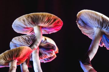 Psychedelics