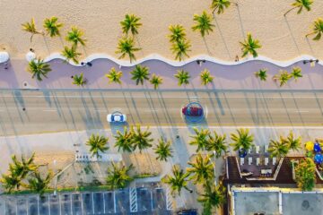an aerial view of a beach with palm trees