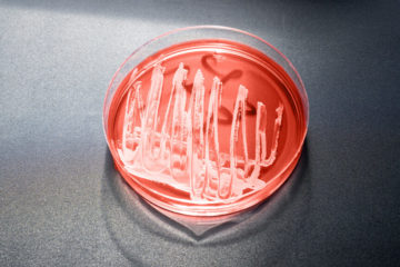 cancer trial