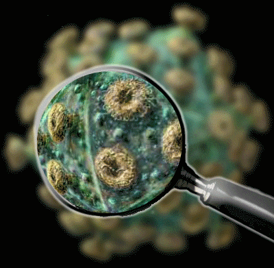 1 In 8 Cancer Cases Worldwide Are Due to Infections