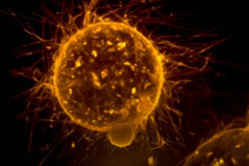 yellow and black abstract painting