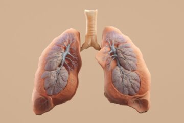 Human lungs with visible bronchial tubes and tissue on a beige background